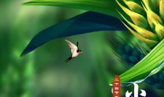 521遇见小满 521遇见小满